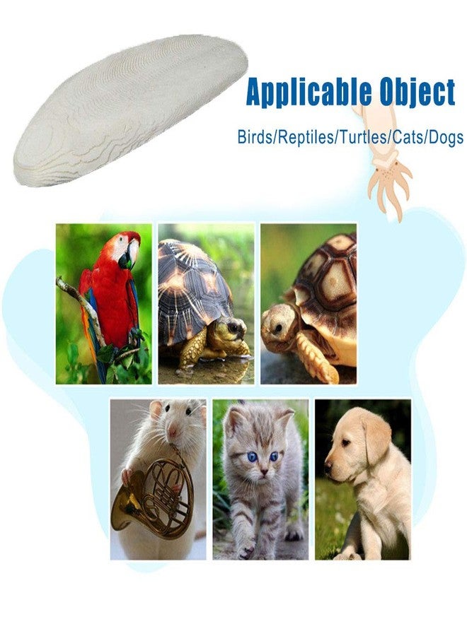 Mivofun 2PCS Natural Cuttlebone for Tortoise Turtles Snails Birds Cockatiels Parakeets Budgies Reptiles Small Animals(4"-4.5",Small) - Image 3